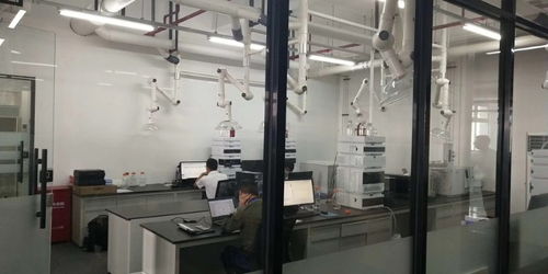 閔行獨(dú)棟1350平可分割精裝修廠房 一站式解決倉(cāng)儲(chǔ)、生產(chǎn)與土地需求